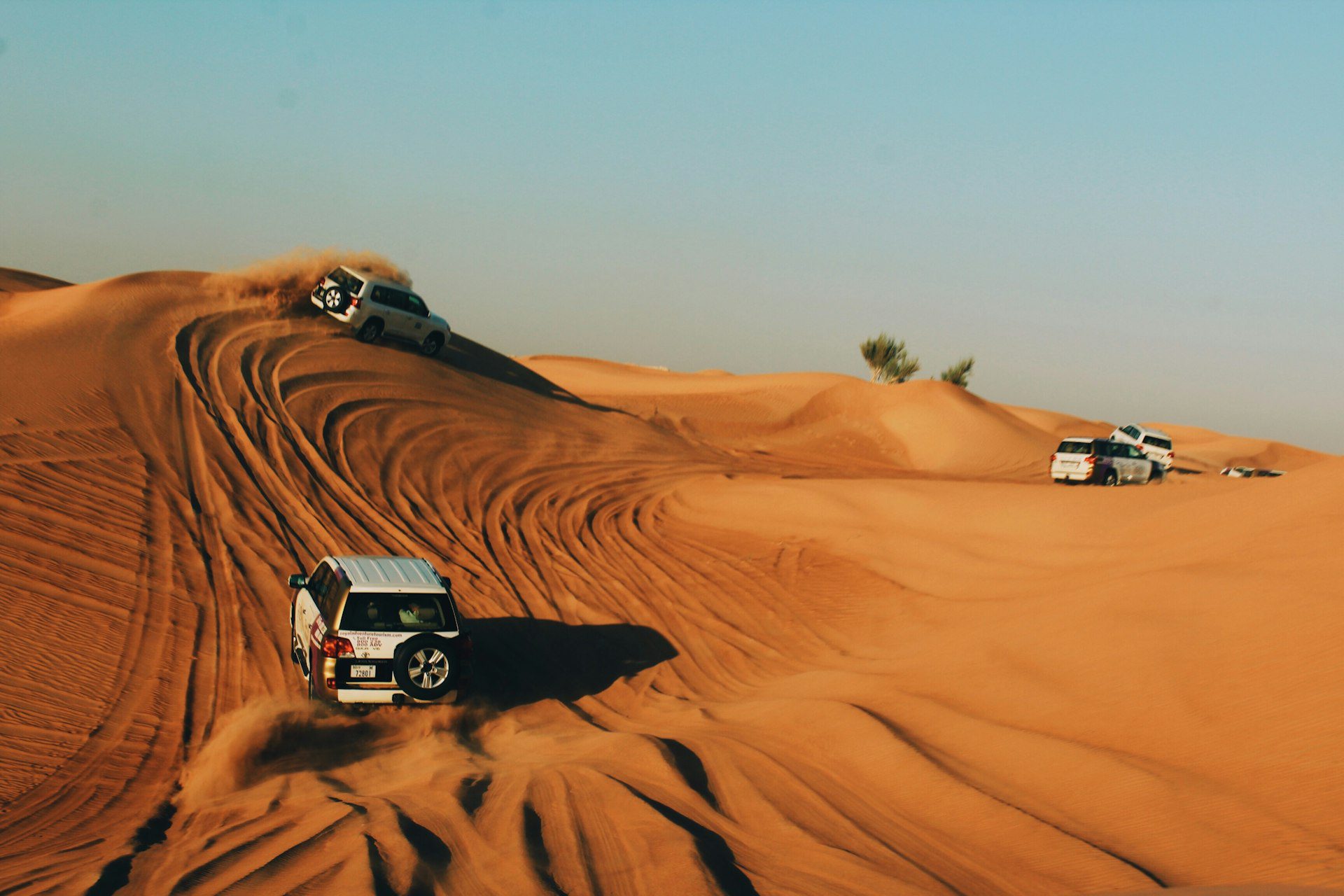Dubai Desert Safari red dunes and camel trekking